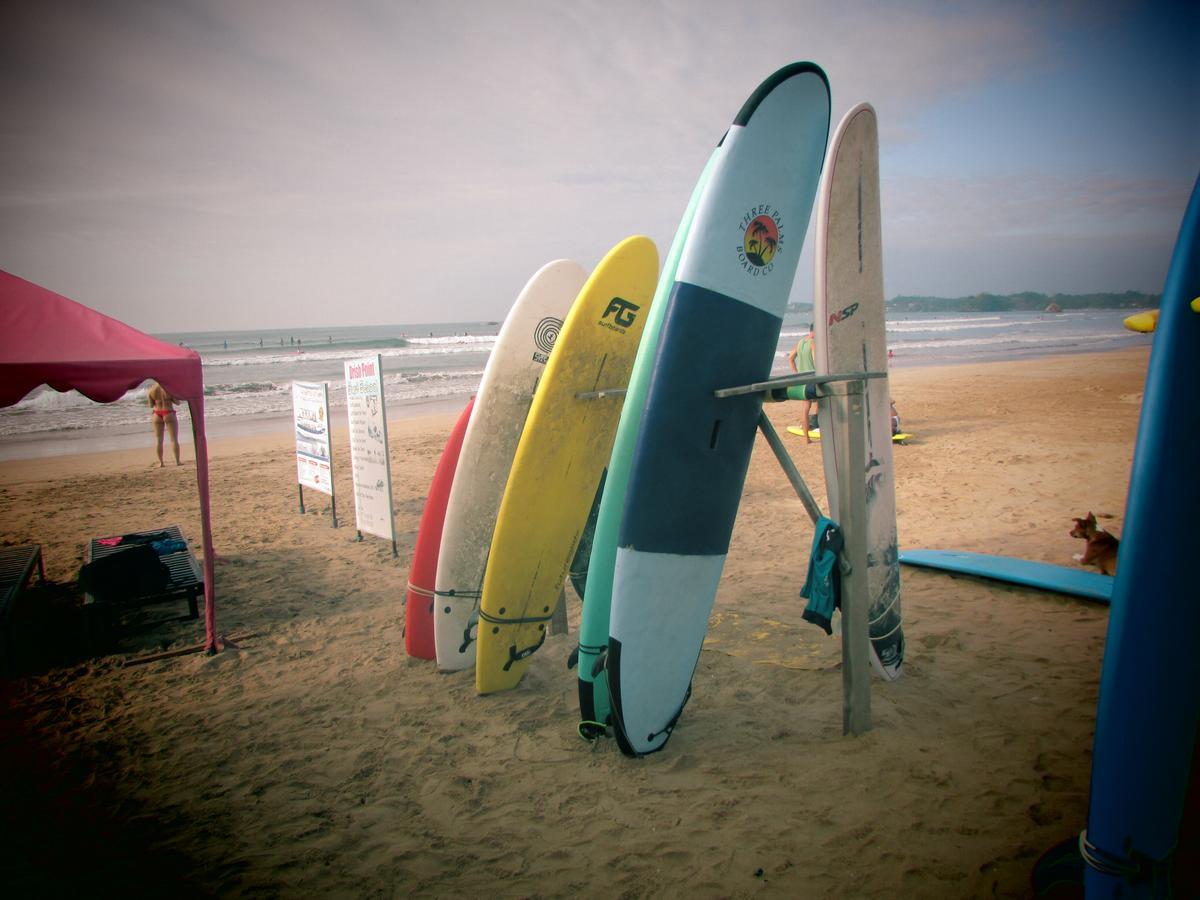 Soul Surfer - Weligama Hostel Εξωτερικό φωτογραφία